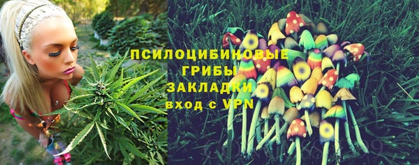 хмурый Гусиноозёрск
