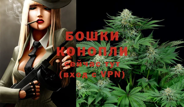 2c-b Гусь-Хрустальный