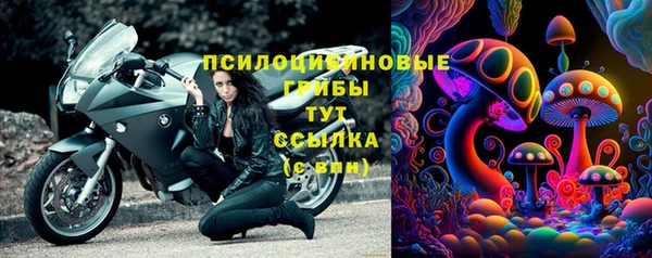 марки lsd Гусев