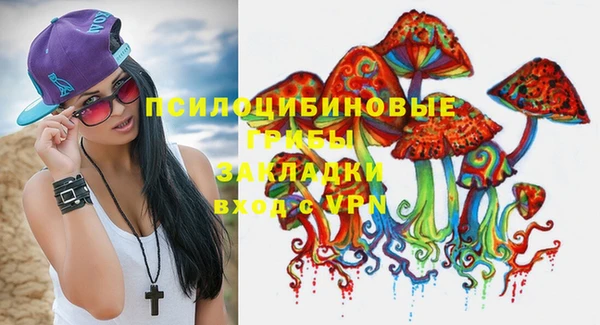 2c-b Гусь-Хрустальный