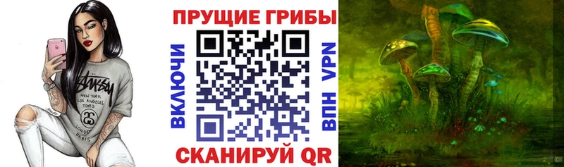 хочу   Новосибирск  Псилоцибиновые грибы мухоморы 